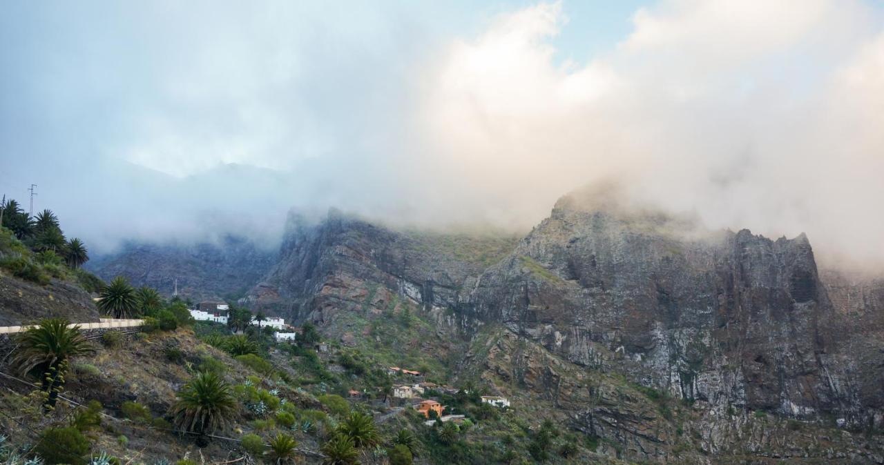 Ciruelo - Paz Y Senderos En Area Natural Protegida De Teno Buenavista Del Norte Exterior photo