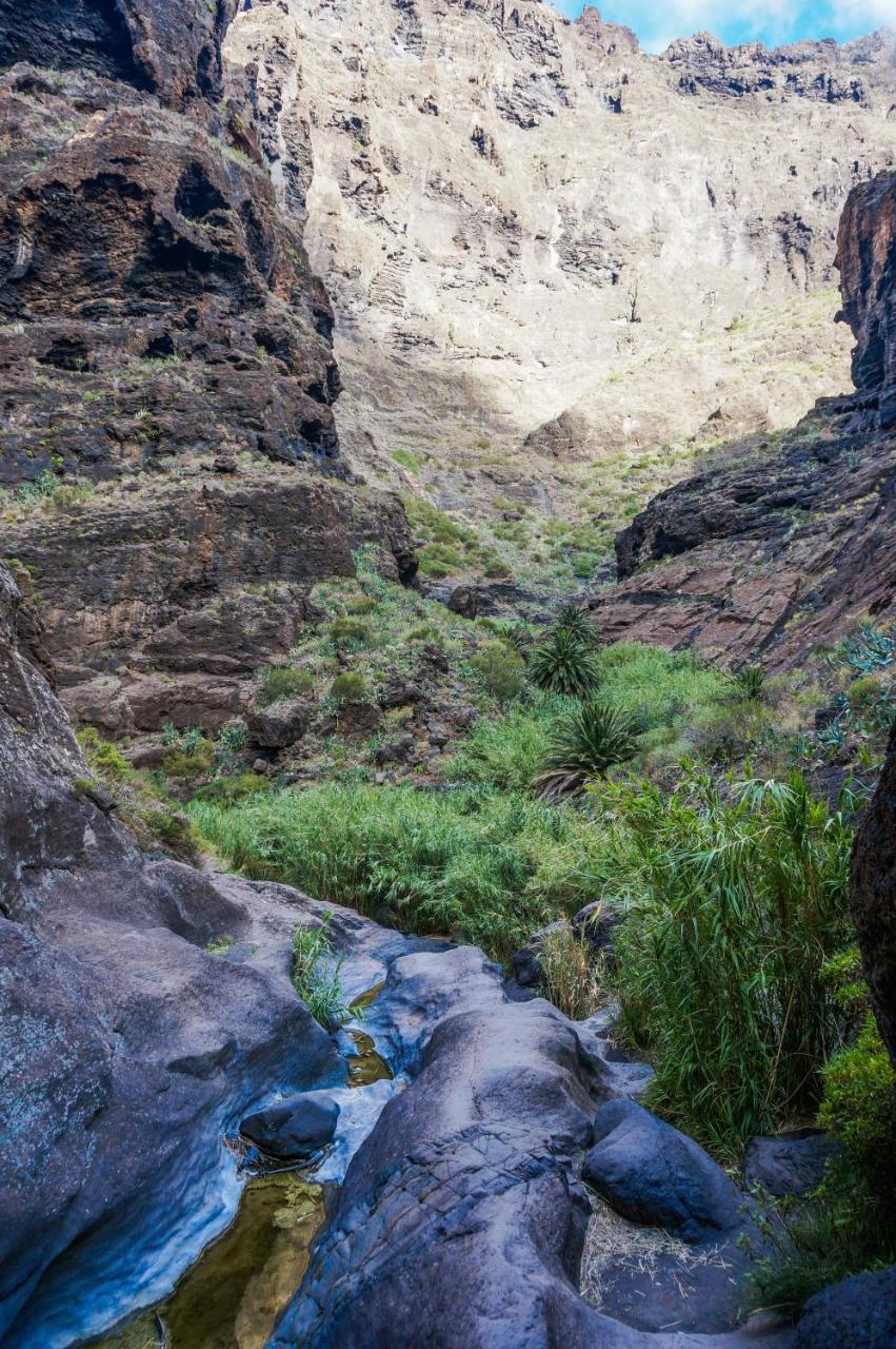 Ciruelo - Paz Y Senderos En Area Natural Protegida De Teno Buenavista Del Norte Exterior photo